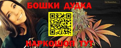 скорость Дубна