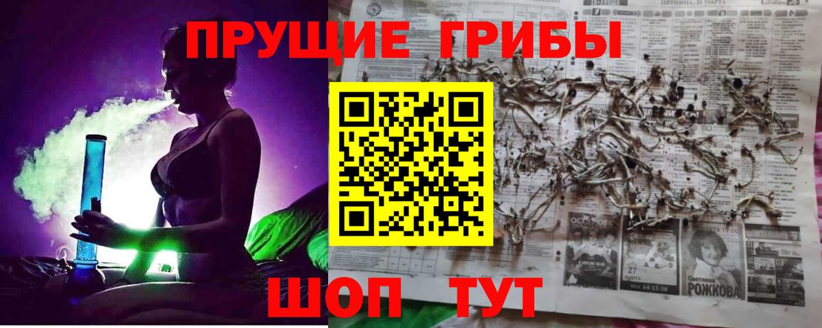 Псилоцибиновые грибы MAGIC MUSHROOMS Михайловск